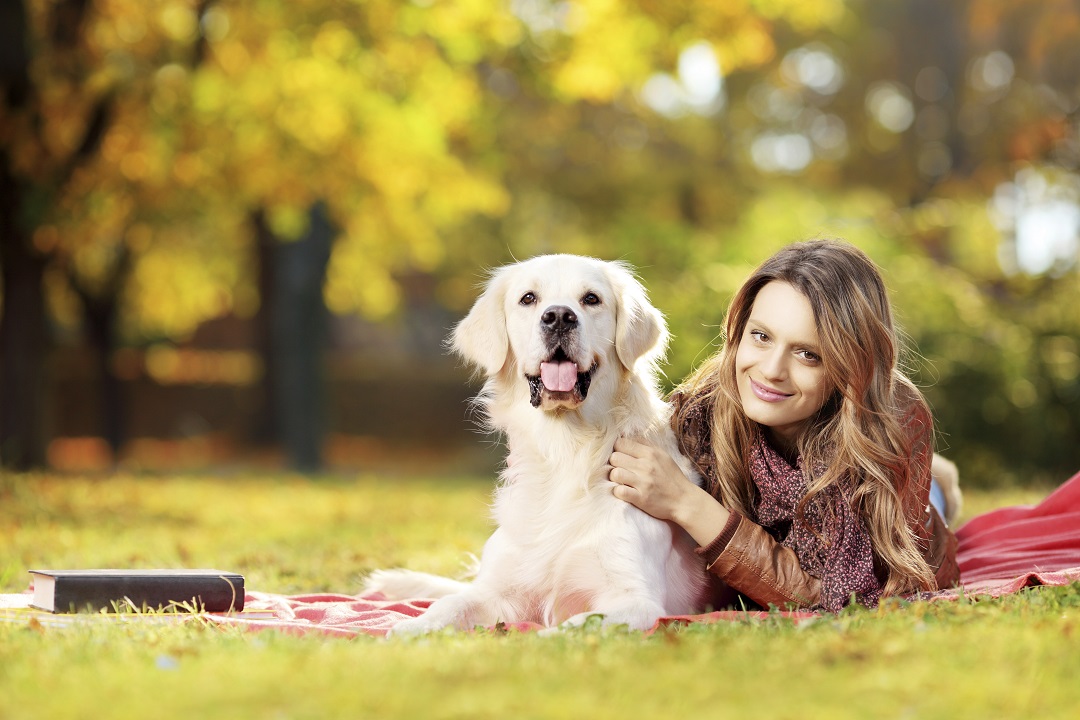 The 5 Essential Features of a DogFriendly Apartment Community